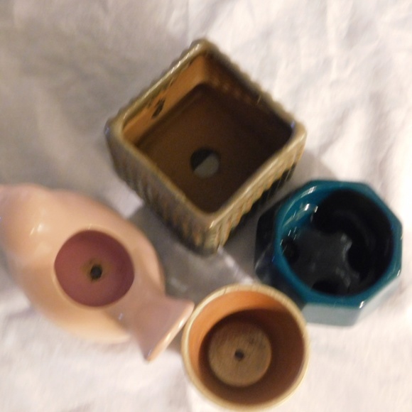 Succulent or Cacti Mini Pots Collection - Picture 2 of 5